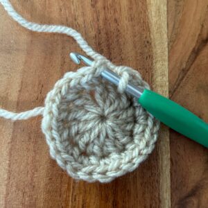 編んできた段の、細編みの頭に針を入れて、2本の糸を拾ったところ。